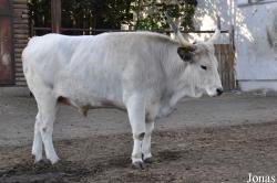 Zoo Park Vyškov