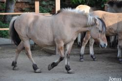 Zoo Park Vyškov