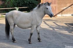 Zoo Park Vyškov