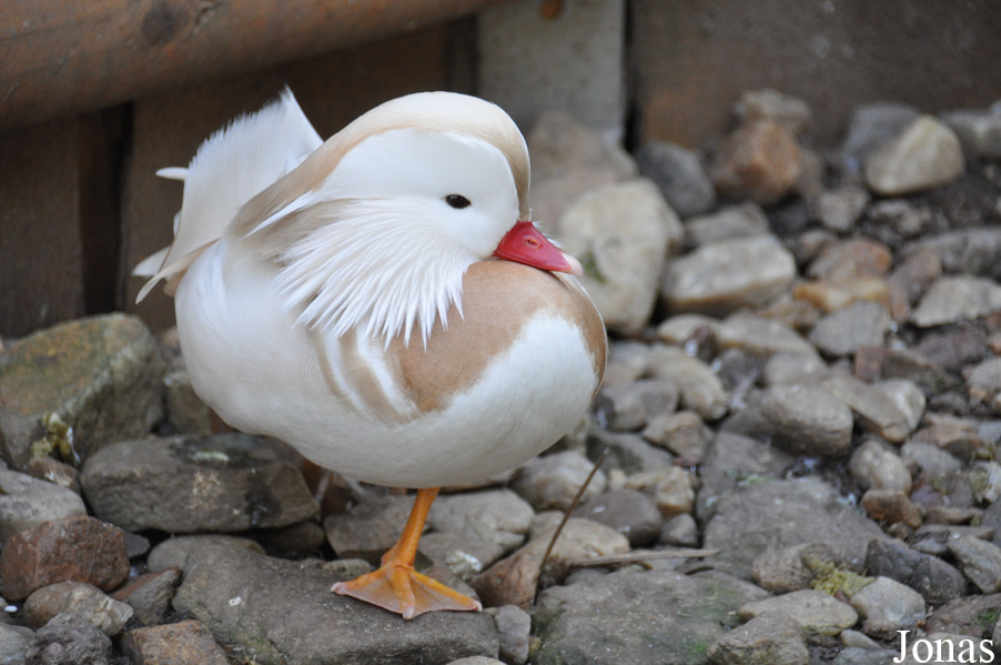 Zoo Park Vyškov