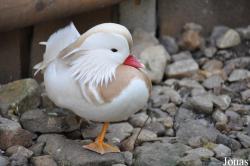 Zoo Park Vyškov