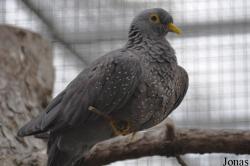 Vogelpark Turnersee