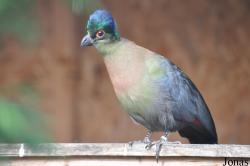 Vogelpark Turnersee