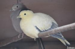 Vogelpark Turnersee