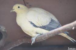 Vogelpark Turnersee