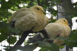 Vogelpark Turnersee