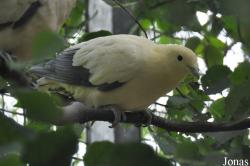 Vogelpark Turnersee