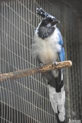 Vogelpark Turnersee
