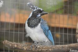 Vogelpark Turnersee