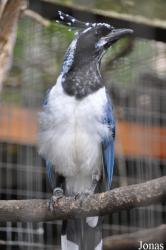 Vogelpark Turnersee