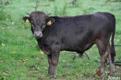 Tierpark Rosegg