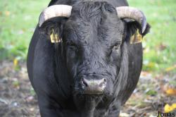 Tierpark Rosegg