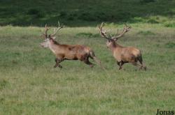 Tierpark Rosegg