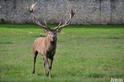 Tierpark Rosegg
