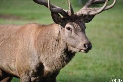 Tierpark Rosegg