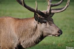 Tierpark Rosegg