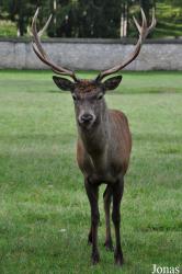 Tierpark Rosegg
