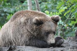 Alpenzoo Innsbruck