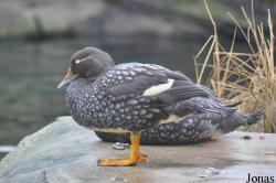 Zoo am Meer Bremerhaven