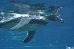 Zoo am Meer Bremerhaven