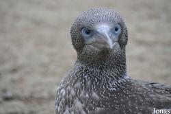 Zoo am Meer Bremerhaven