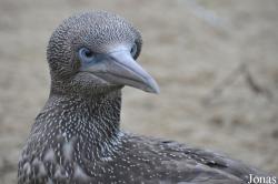 Zoo am Meer Bremerhaven