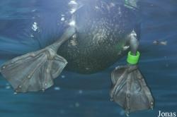 Zoo am Meer Bremerhaven