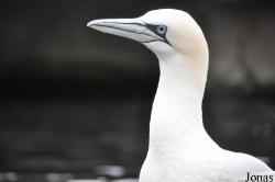 Zoo am Meer Bremerhaven