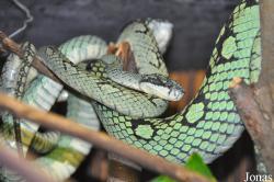 Reptilienzoo Nockalm
