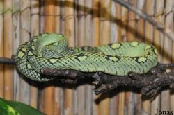 Reptilienzoo Nockalm