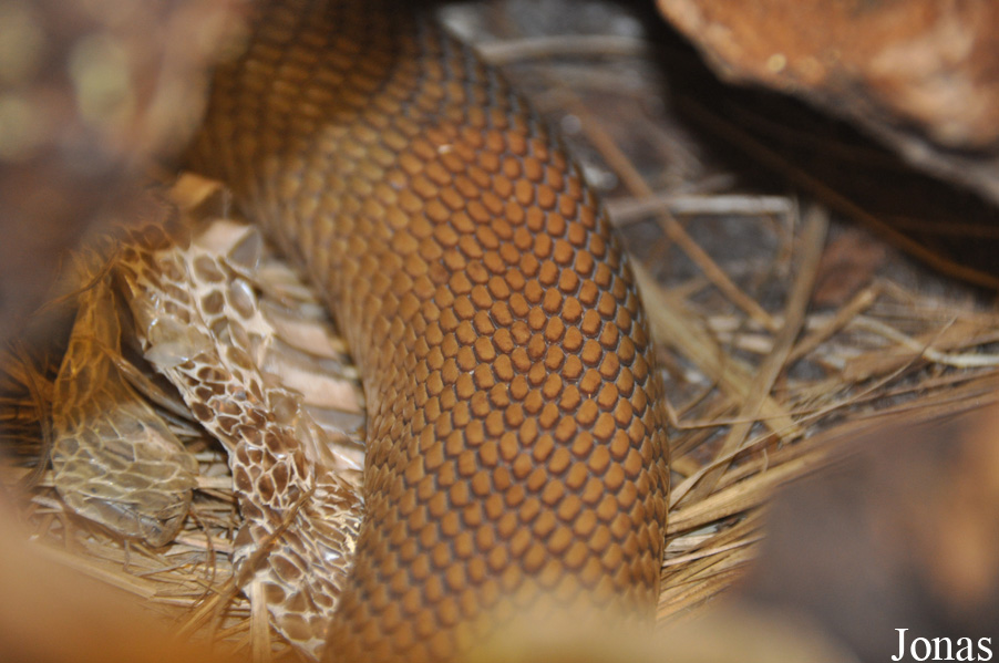 Reptilienzoo Nockalm
