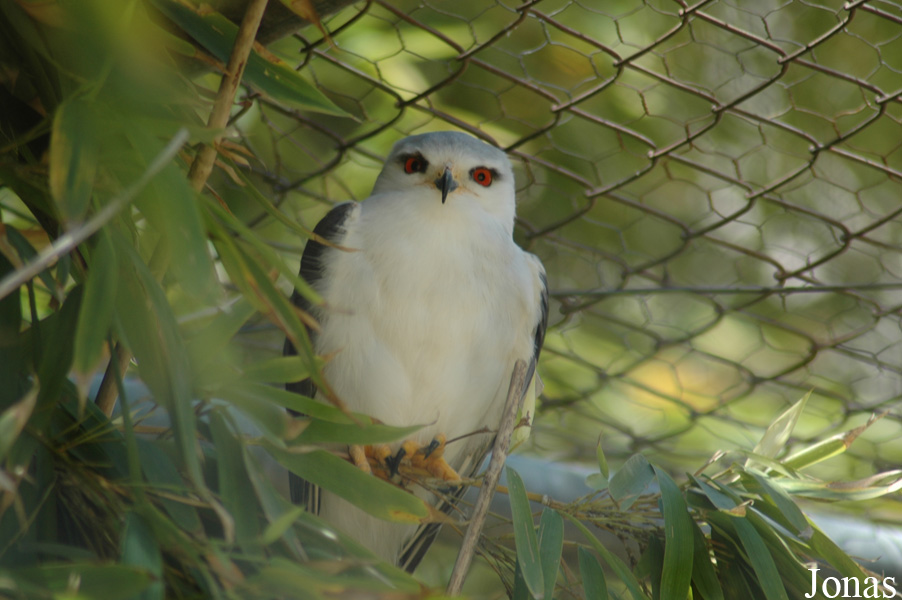 Zoobotanico Jerez