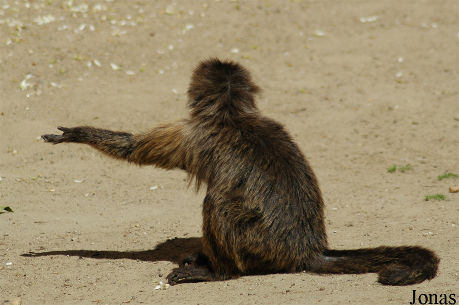 Zoobotanico Jerez