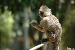 Zoobotanico Jerez