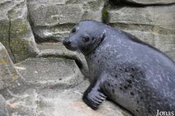 Zoo Frankfurt
