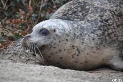 Tierpark Nordhorn