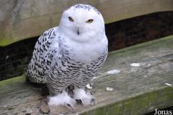 Tierpark Nordhorn