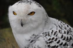 Tierpark Nordhorn
