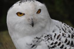 Tierpark Nordhorn
