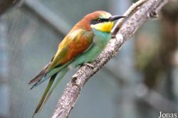 Zoo Frankfurt