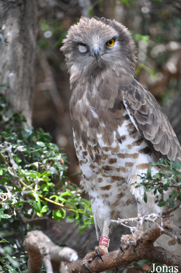 Haifa Educational Zoo