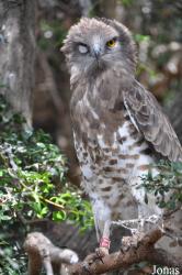 Haifa Educational Zoo