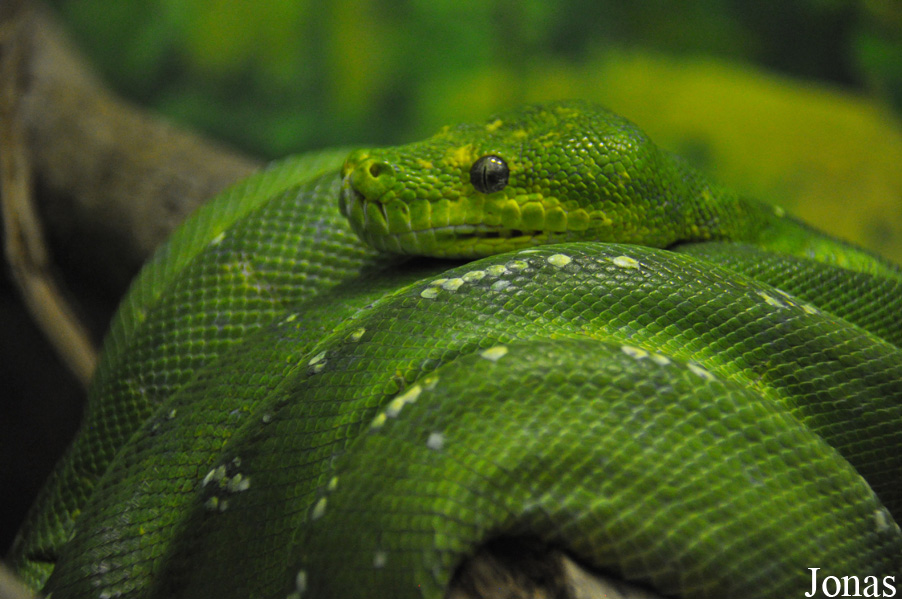 Haifa Educational Zoo