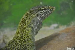 Haifa Educational Zoo