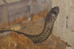 Haifa Educational Zoo
