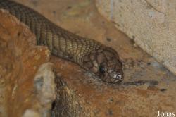 Haifa Educational Zoo