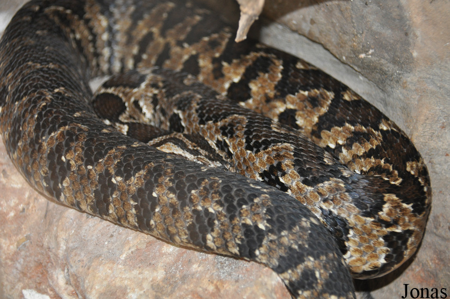 Haifa Educational Zoo