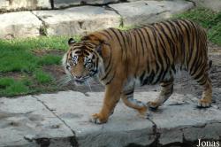 Fuengirola Zoo