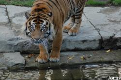 Fuengirola Zoo