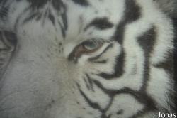 Haifa Educational Zoo